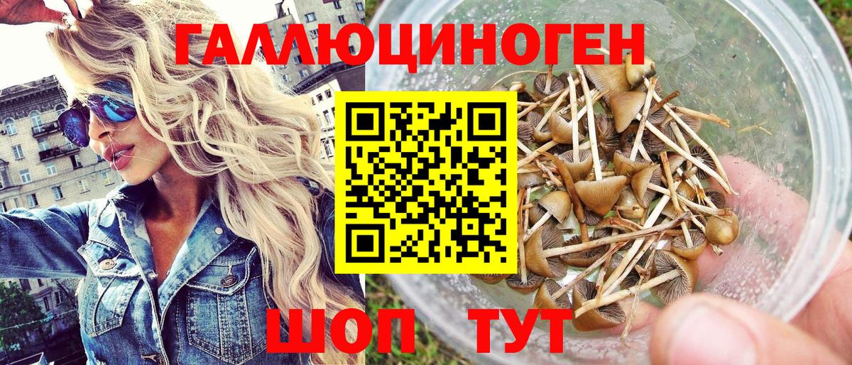 Галлюциногенные грибы Cubensis  Вход с VPN  купить наркотик  Ноябрьск 