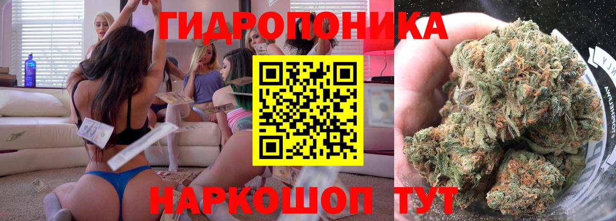 Марихуана Amnesia Ноябрьск